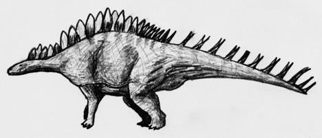 Kentrosaurus Sketch